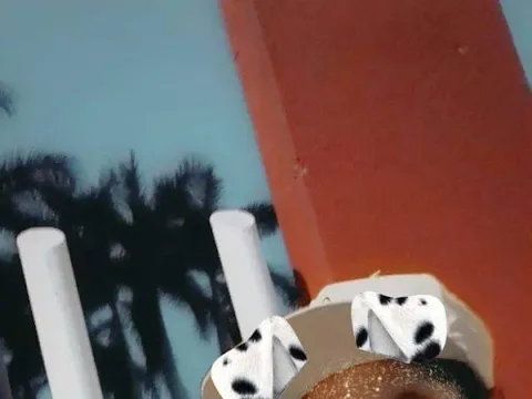 Mariachi Apatzinguense de Ramón Cárdenas