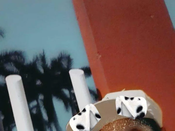 Mariachi Apatzinguense de Ramón Cárdenas