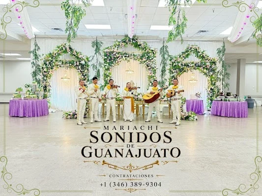 Mariachi Sonidos De Guanajuato